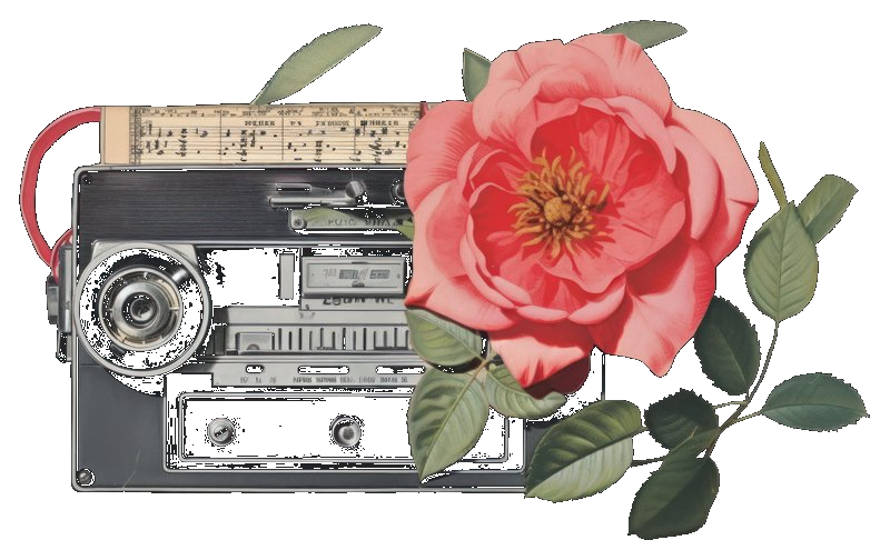 Cassette player